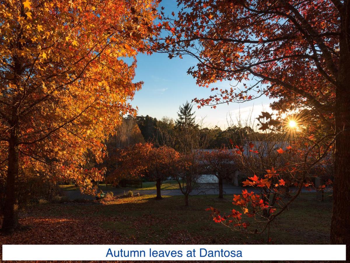 Вілла Dantosa Blue Mountains Retreat Катумба Екстер'єр фото