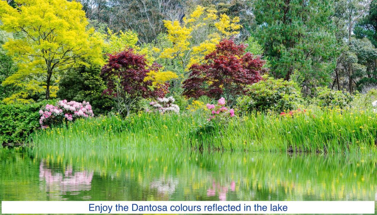 Вілла Dantosa Blue Mountains Retreat Катумба Екстер'єр фото