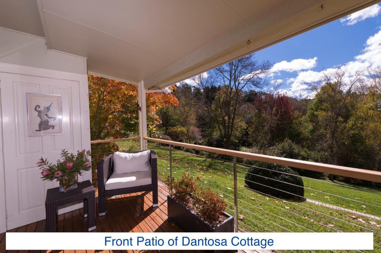 Вілла Dantosa Blue Mountains Retreat Катумба Екстер'єр фото